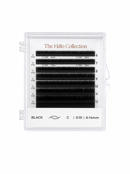 The Hālo Collection | Discovery Mini Mix Lash Tray