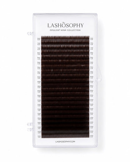 Dark Chocolate False Eyelashes | Mixed Length Tray