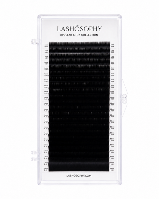 Black Collection False Eyelashes | 0.07 Single-Length Tray