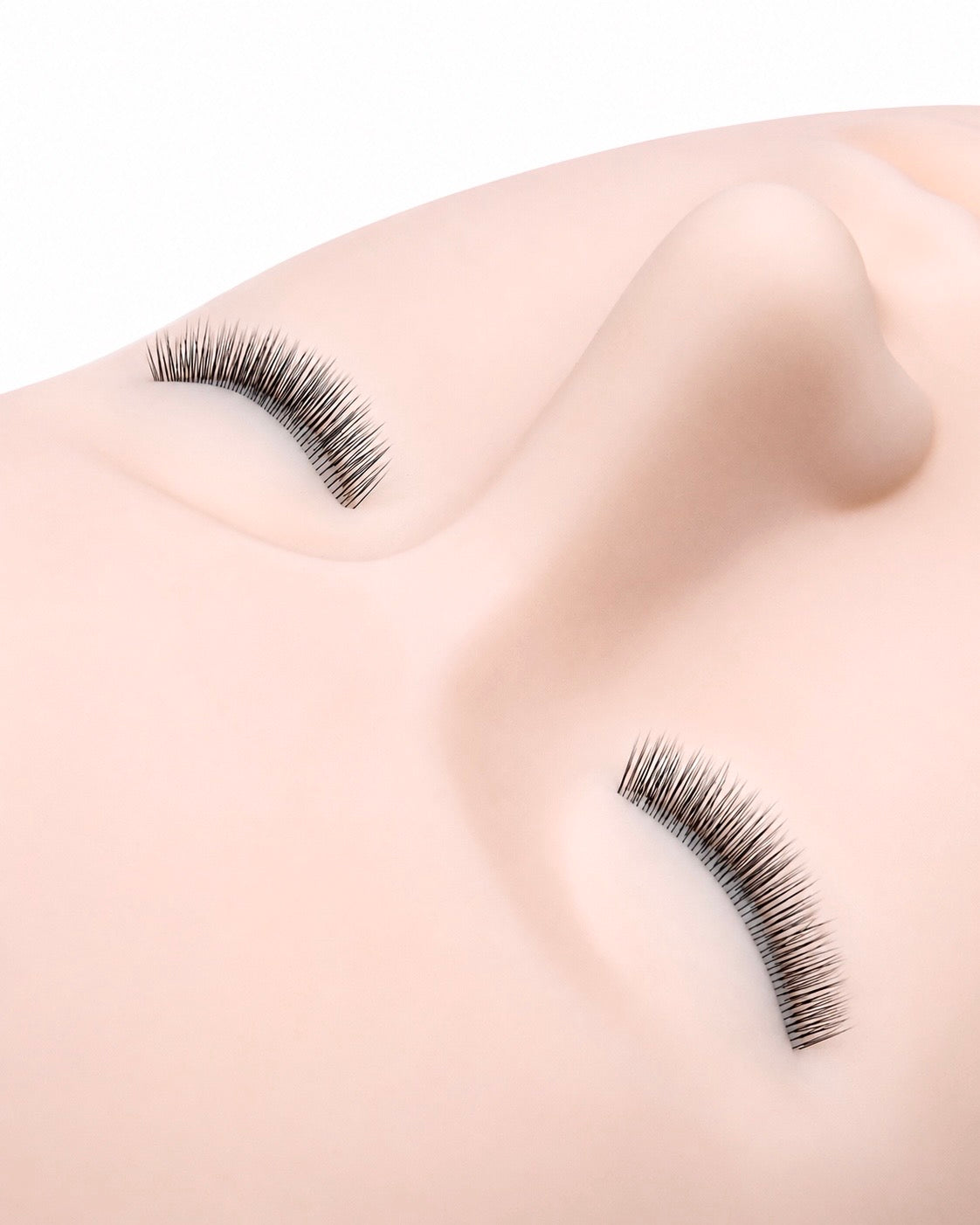 Mannequin Training Head