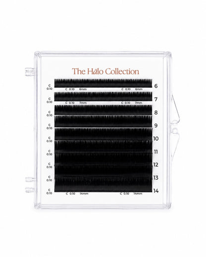 The Hālo Collection | Discovery Mini Mix Lash Tray