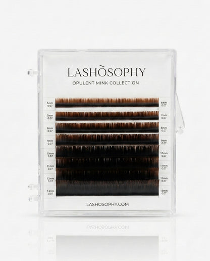 Black and brown ombre lash extensions mini mix tray by LASHÒSOPHY — semi-matte Korean PBT fiber with brown tips.