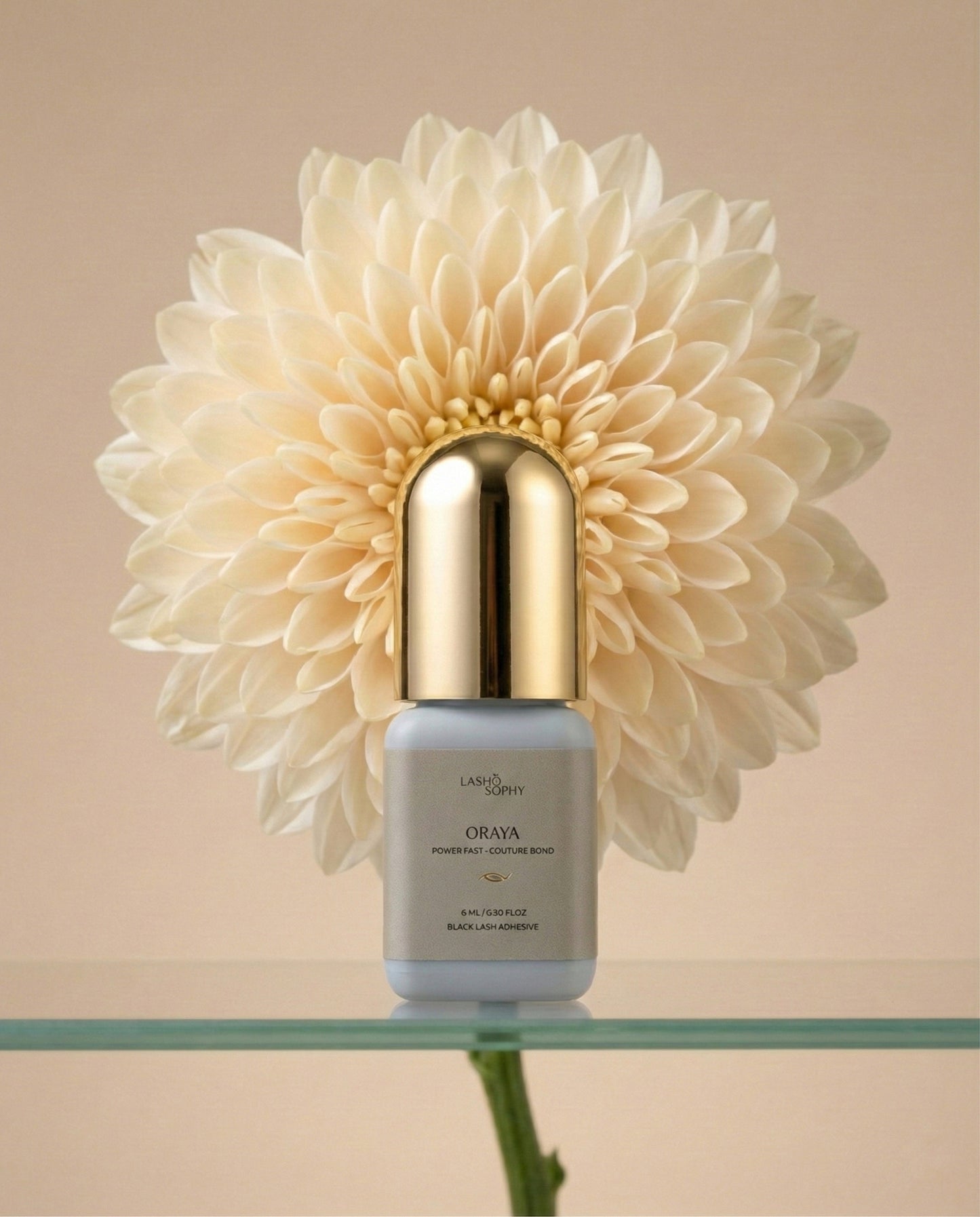 "ORAYA" Lash Black Adhesive